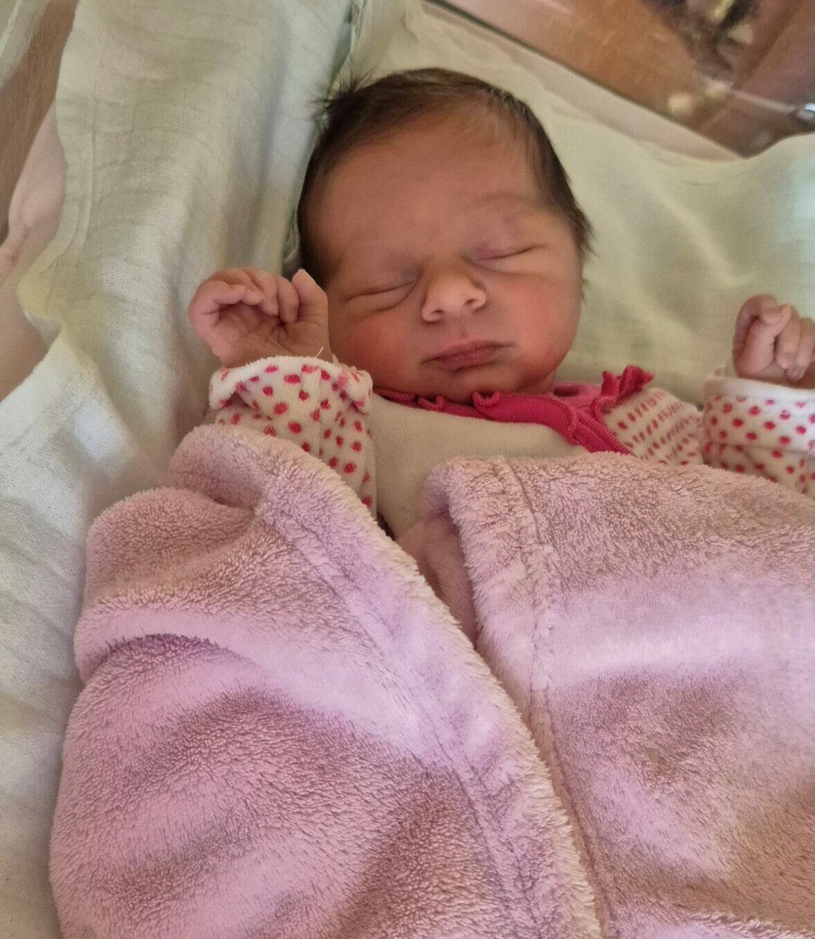 sikeres IVF kezelés a Repromedánál